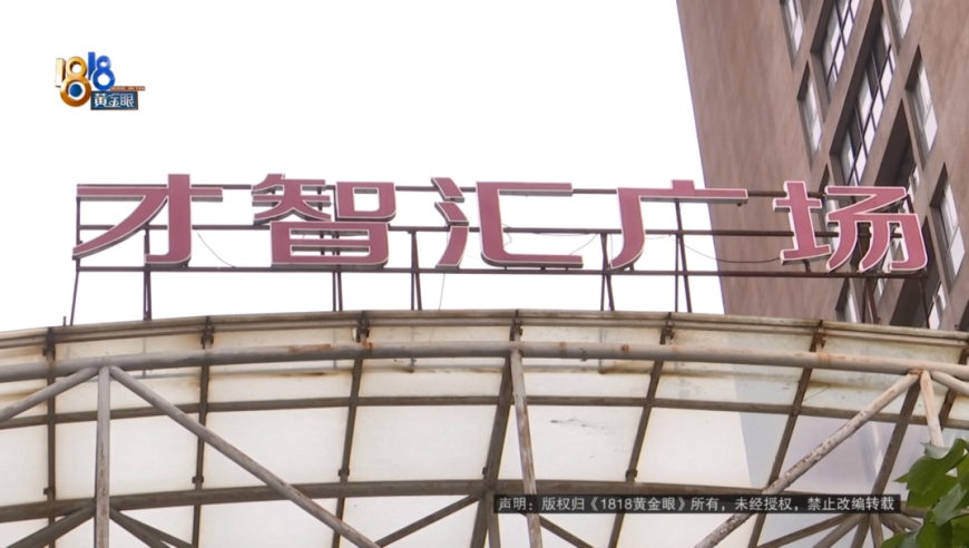 开码澳门正版资料免费公开,搅乱我的生活 不可能,精准解释落实及其象征意义_高级版V6.11